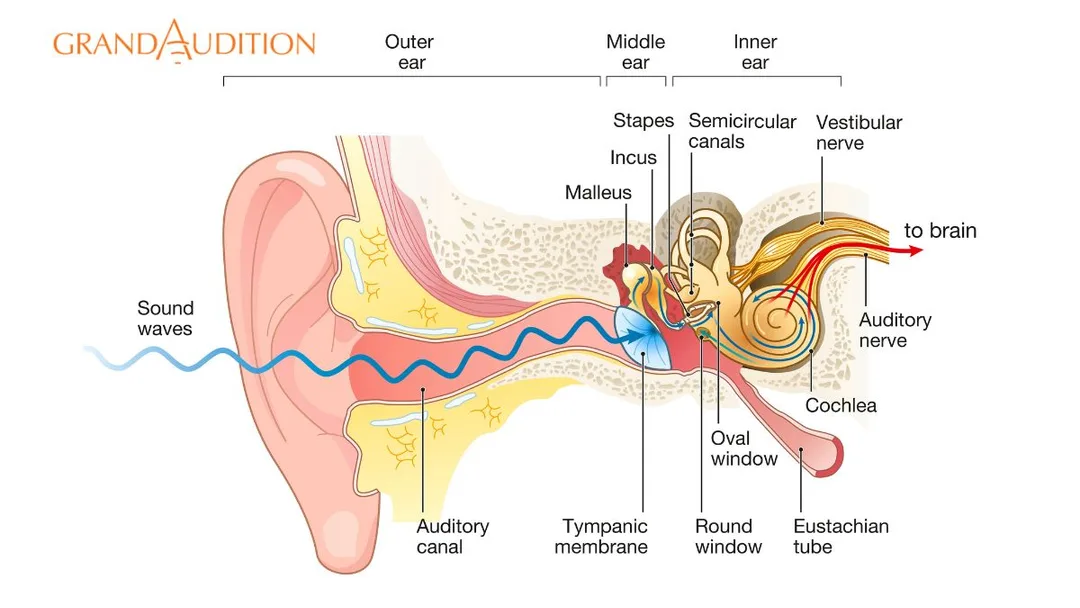Calm environment representing tinnitus relief and quieter daily living